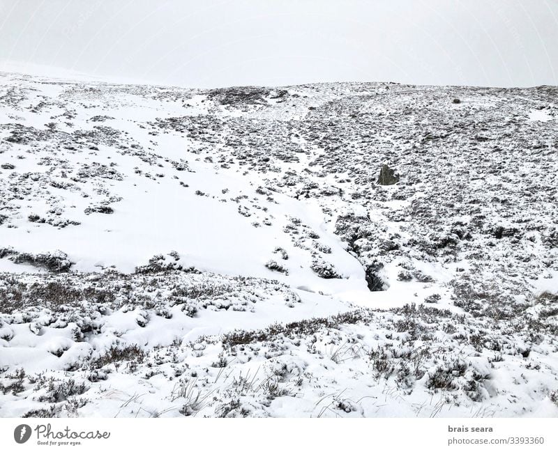 Scottish snowy mountain landscape. Cairngorms National Park, Scotland.. nature winter scotland winter view white cold weather wild snowflakes climate change