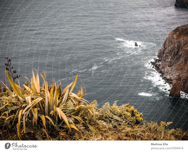 Atlantic Coast in the Azores São Miguel Sao Miguel Atlantic Ocean Exterior shot Brown Clouds Adventure Summer Water Blue Bird's-eye view Day Deserted