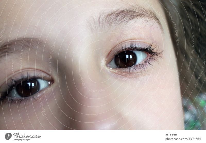 View of a girl with brown eyes Looking Eyes Brown Brown eyes Pupil Eyelash Eyebrow Face Close-up Child Girl Brunette Human being Nose Hair and hairstyles Head