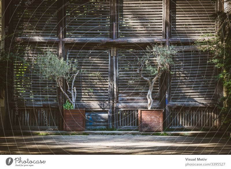 Old wooden shutter doors of a Lath House color architecture built structure plant no people nobody exterior building day natural light entrance closed