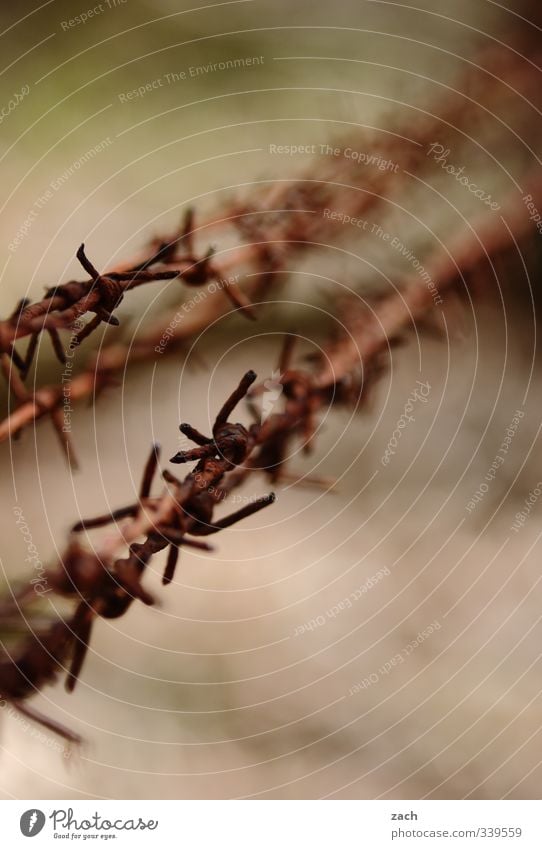 inside and outside Fence Metal Rust Threat Gloomy Brown Safety Watchfulness Fear Distress Hatred End Freedom Bans Border Barbed wire Subdued colour