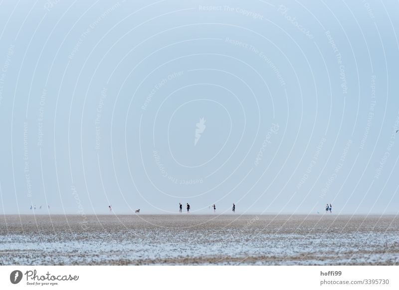 People in the mudflats - mudflat hiking Walk along the tideland Mud flats Lakeside National Park Cloudless sky Group Dawn Morning North Sea Beautiful weather