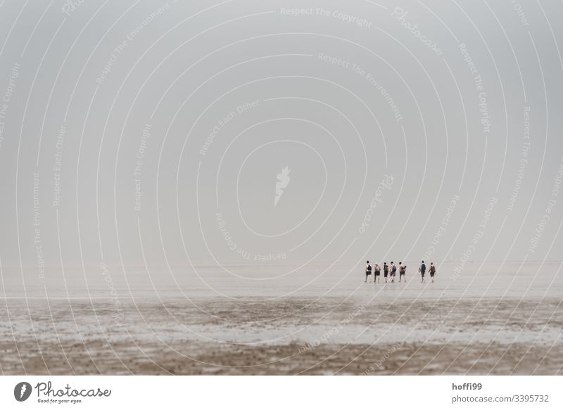 People in fog in the mudflats - mudflat hiking Walk along the tideland Mud flats Lakeside National Park Cloudless sky Group Dawn Morning North Sea Fog