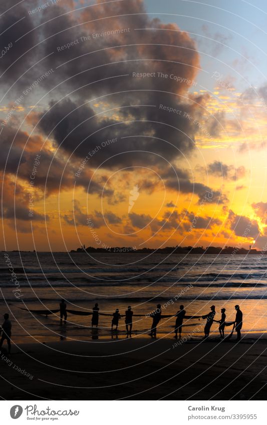 Fishermen on Sri Lanka haul in the nets together at dusk. A community work everybody pulls together in common fellowship Fisherman fish Dusk Ocean