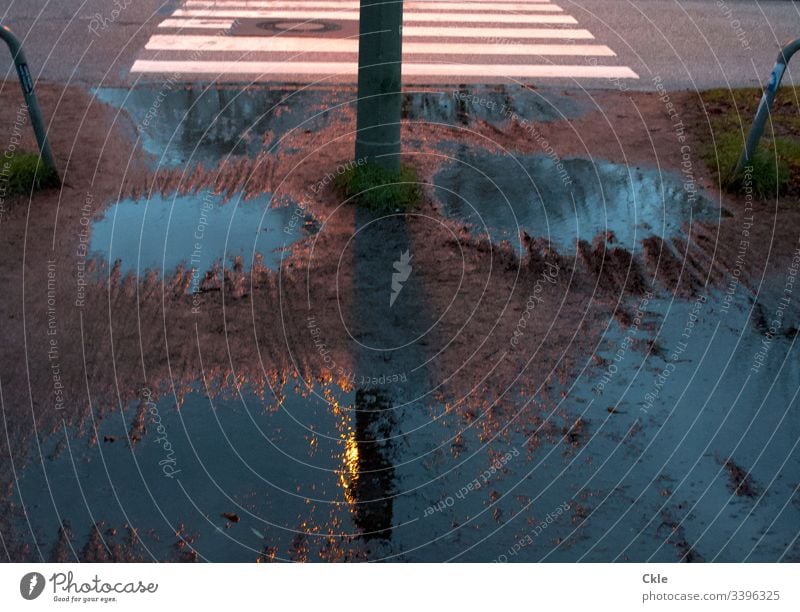 Rain puddles and zebra crossings Pedestrian crossing Puddles of rain Street lighting slush Rainy weather Bad weather Exterior shot Lantern Zebra crossing