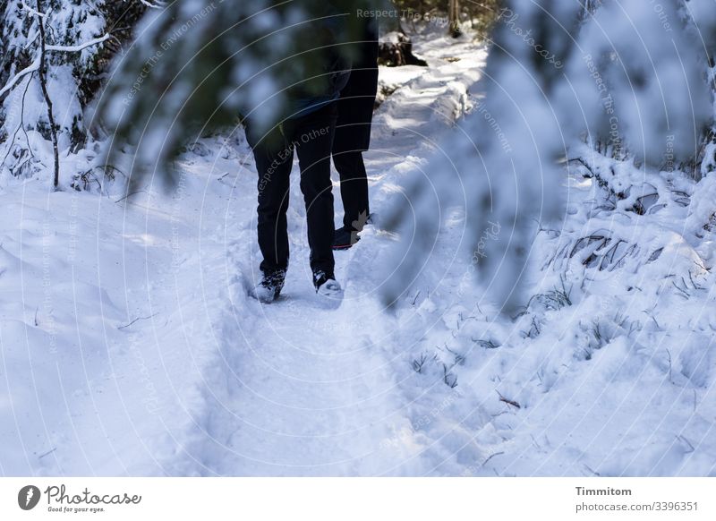 Snowy hiking trail with legs Winter path Hiking morning light Lanes & trails Nature Cold Legs trees twigs Black Forest Light and shadow hikers Relaxation fun