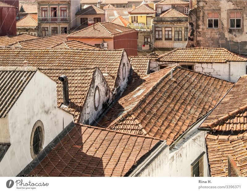 Roofs of an old town Portugal Porto roofs pediment Architecture Old town Roofing tile Historic