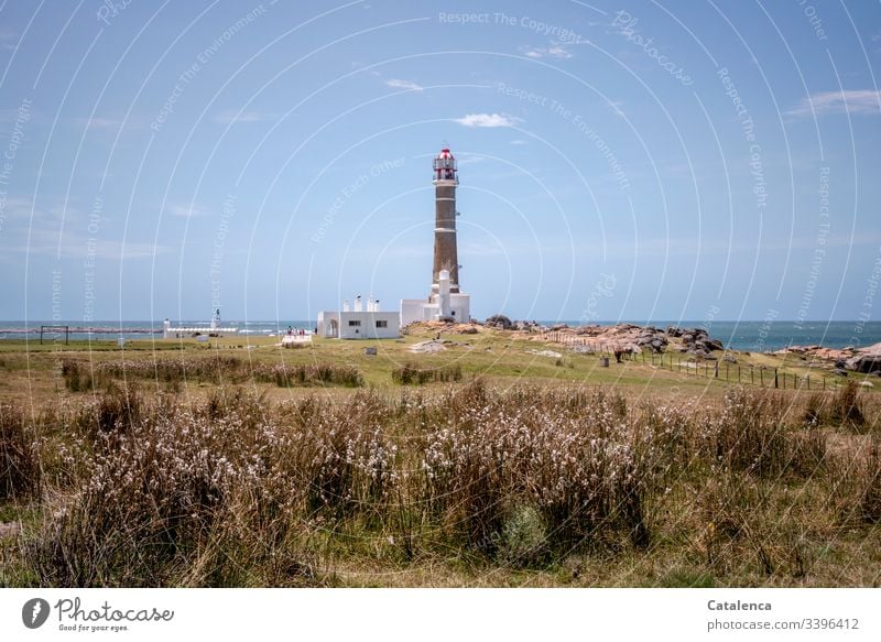 The sky, the sea, a lighthouse. In the foreground the beach garden is growing wildly mixed up Beach Landscape" Lighthouse Ocean Sky coast Vacation & Travel