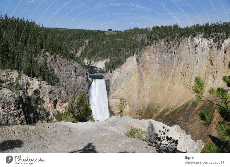 yellowstone national park the nature Wyoming Wonder Public Holiday Scene Hot Destination glorious Landscape faithful Mountain Americas view travel Water Nature