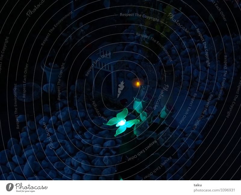Blue hour Cemetery Grave Night shot candle Butterfly shoulder stand