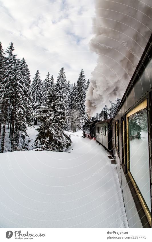 By train through the wintry Harz mountains II Sympathy Copy Space bottom Exterior shot Multicoloured Saxony-Anhalt Colour photo Deserted Copy Space right