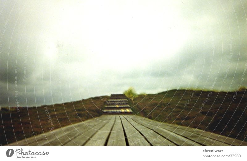 wooden walkway Wood Footbridge Vacation & Travel Ocean Gray Sylt Wooden board Beach dune Sky