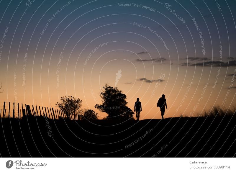 The silhouettes of a couple stand out against the pink and orange evening sky at dusk and dawn Back-light Plant Light Moody Illuminate Orange Grass Summer