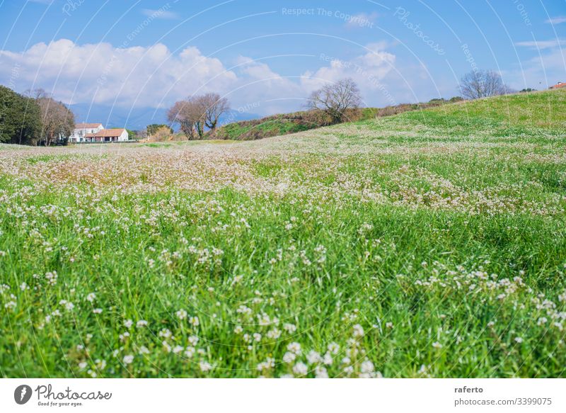 Rural house in a green field in a cloudy day tree countryside grass flower hill property dream beautiful land outdoors plant villa spring sun yard vacation