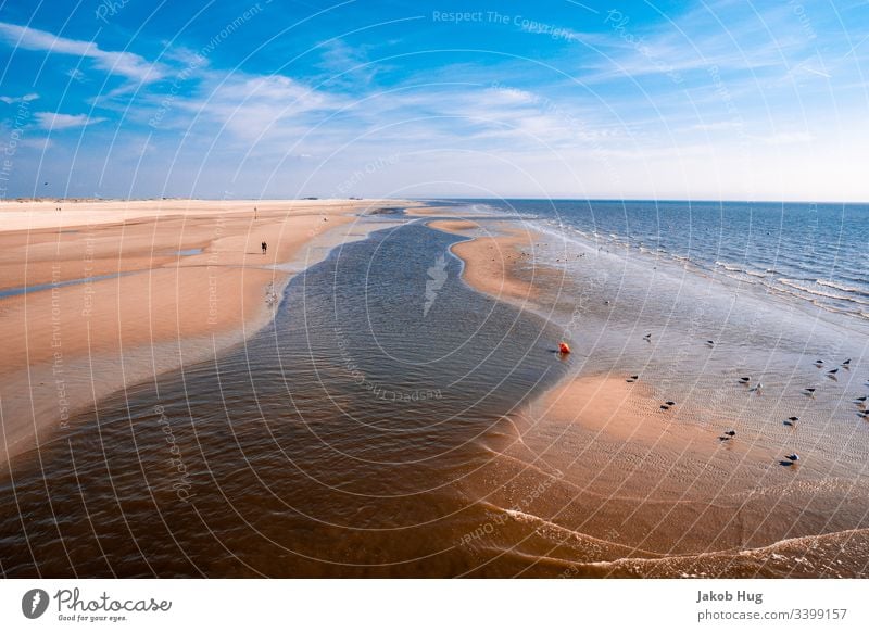 St. Peter Ording beach on the North Sea coast ocean Atlantic Ocean Mud flats watt Buoy buoys Tropical Sky Landscape stage dun Seagull Gull birds gulls Waves