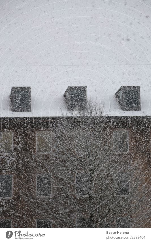 White house roof during heavy snowfall Dormer window Tree snowy snowflakes Exterior shot winter Winter's day limited view Dreary Cold Snow Winter mood