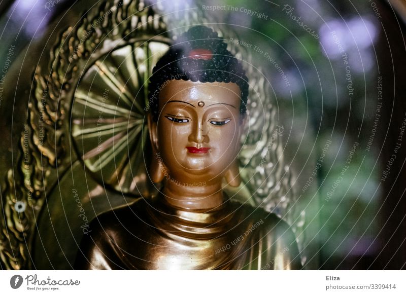 Splendid, beautiful, colorful Buddha figure with a lot of gold Buddhism Religion and faith Statue of Buddha Meditation Belief Yoga Zen Asia Culture Colour photo