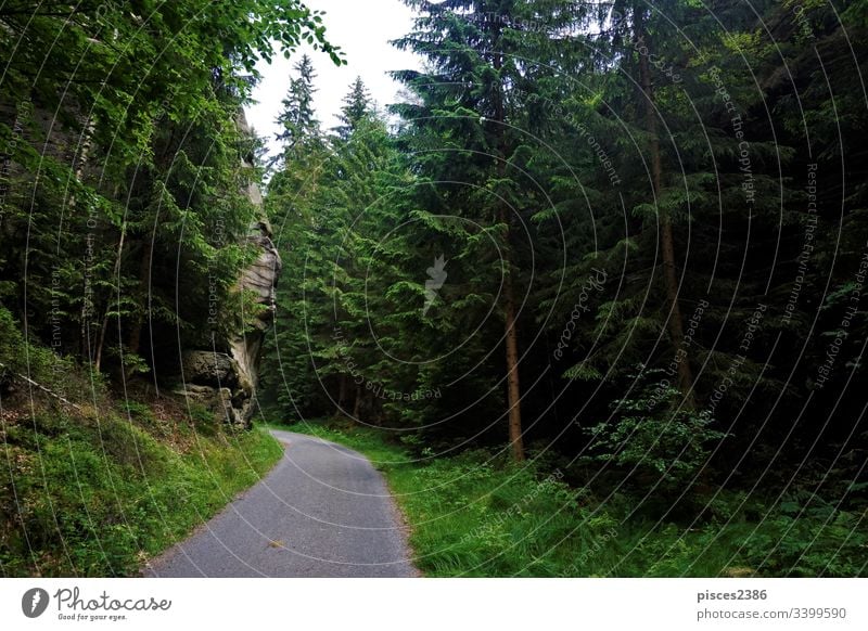 Path through the forest between Hinterhermsdorf and the Kirnitzsch valley cliffs hills countryside destination germany hiking europe elbsandsteingebirge