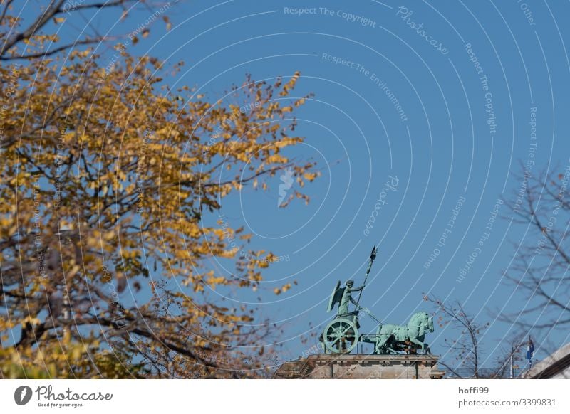 Quadriga Berlin from the side in autumnal mood Monument Brandenburg Gate Landmark Capital city Tourist Attraction Architecture Exterior shot Deserted Germany