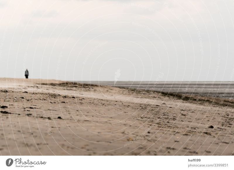 surreal scene with human on the beach Walk along the tideland Mud flats Lakeside National Park Cloudless sky Group Dawn Morning North Sea Beautiful weather