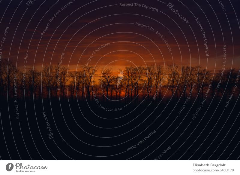 Sunset trees Dark Sunlight Sky Deserted romantic