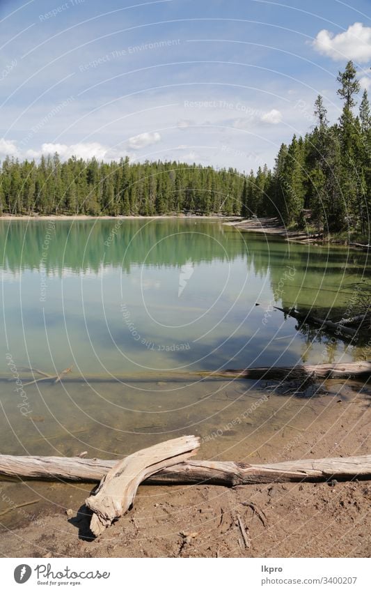 yellowstone national park the nature wyoming wonder holiday scene hot destination glory scenery faithful mountain america view travel landscape water scenic