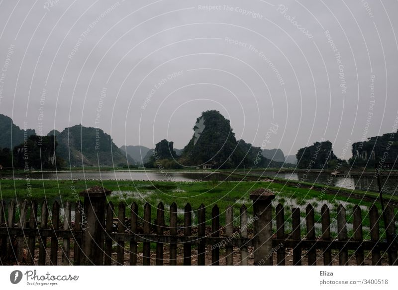 Limestone rock in Ninh Binh in Vietnam green Landscape Nature Gray cloudy Mystic Limestone rocks Asia