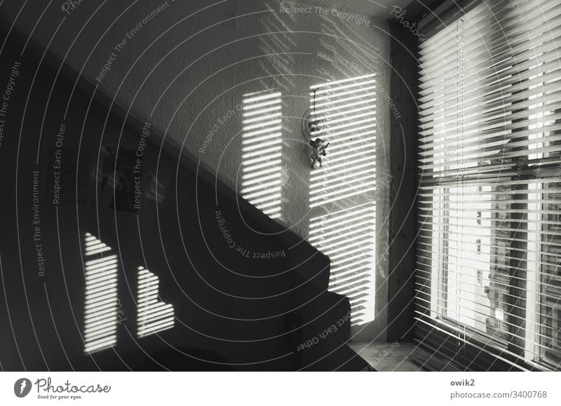 Echo Andante Interior shot inside Sunlight Wall (building) Window Venetian blinds slats Mysterious Dark Contrast Corner Office Decoration Angel Suspended Putto