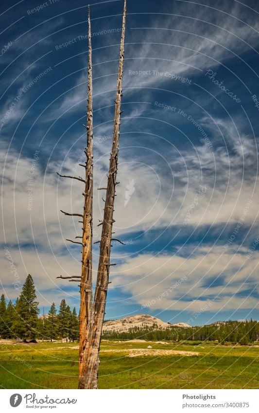 Tioga Pass - Yosemite NP Exterior shot Mountain Blue Beautiful weather Sky Weather Colour Climbing Nature Colour photo USA Yosemite National Park Inspiration