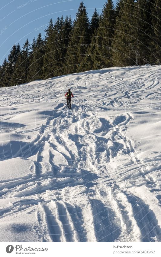 Snowshoeing, many tracks in the snow Tracks Hiking hike Snow shoes Sports Fitness Mountain Exterior shot Nature Human being Winter Alps Leisure and hobbies