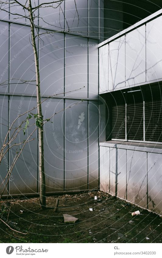 dirty corner Dirty Trash Part of a building Window Gloomy Tree Town Nature Contrast Colour photo Exterior shot Deserted Day Wall (building) Decline Gray Winter