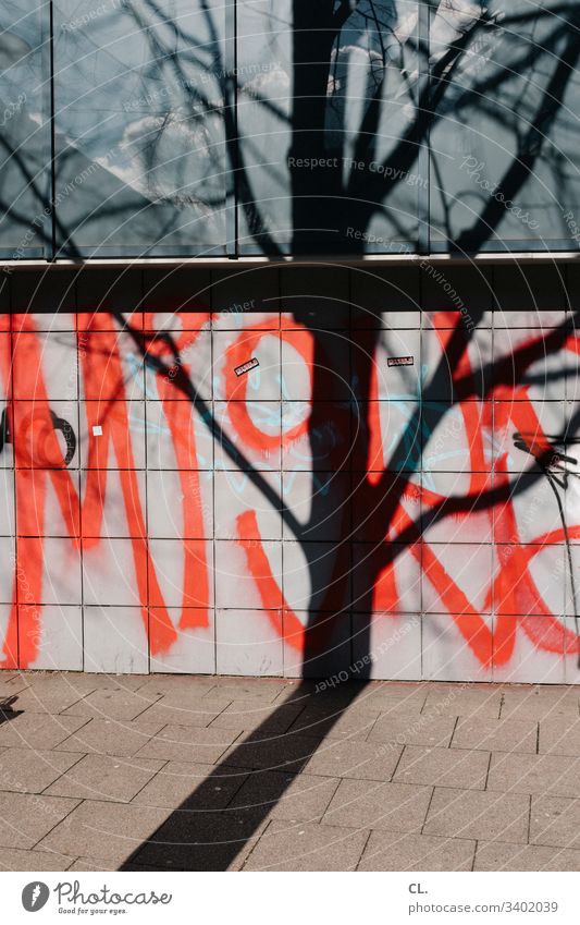 shadow of a tree Shadow Shadow play Tree Tree trunk Wall (building) Graffiti Twigs and branches off Daub Deserted Colour photo Exterior shot Day Autumn Branch