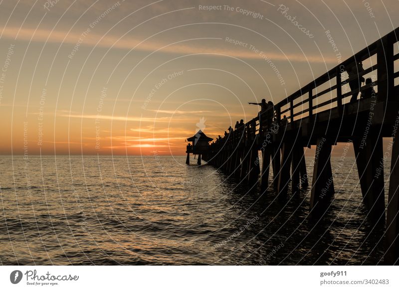 Naples Pier Sundowner pier Ocean Coast Landscape Beach Nature Sunset Sky Horizon Colour photo Exterior shot Twilight Florida Vacation & Travel Clouds Evening