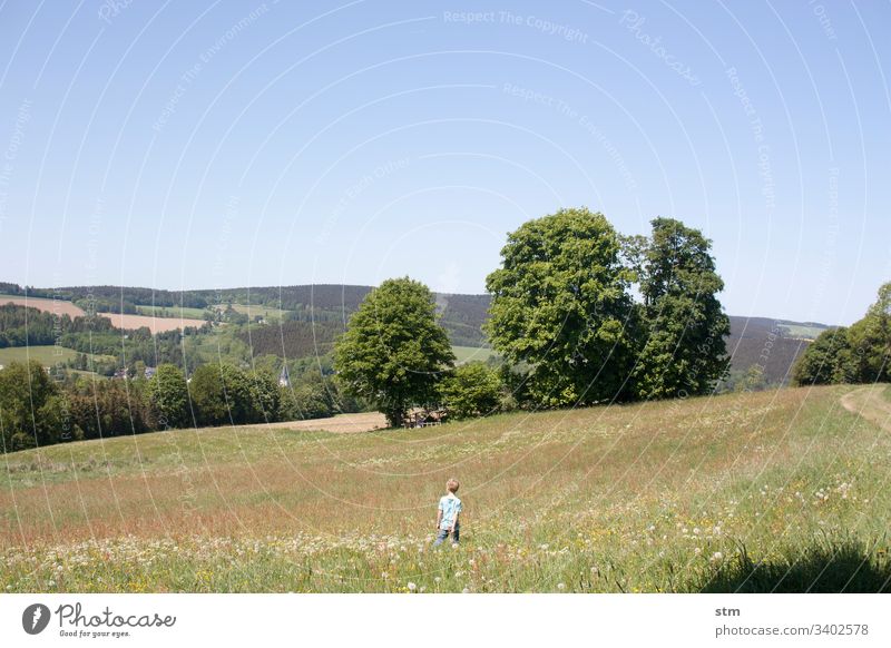 Boy stands in a meadow Meadow Child Flower meadow Infancy Summer Nature Green Grass Environment Exterior shot Colour photo Beautiful weather Hiking Playing