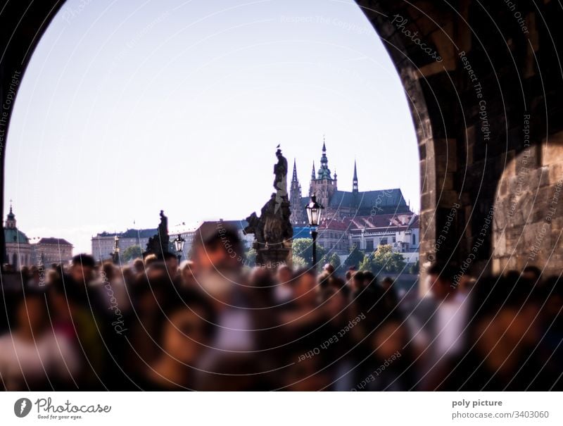 Crowd on the Charles Bridge in Prague - view of the castle Vacation & Travel Tourism Trip Sightseeing City trip Summer vacation Culture Downtown Capital city