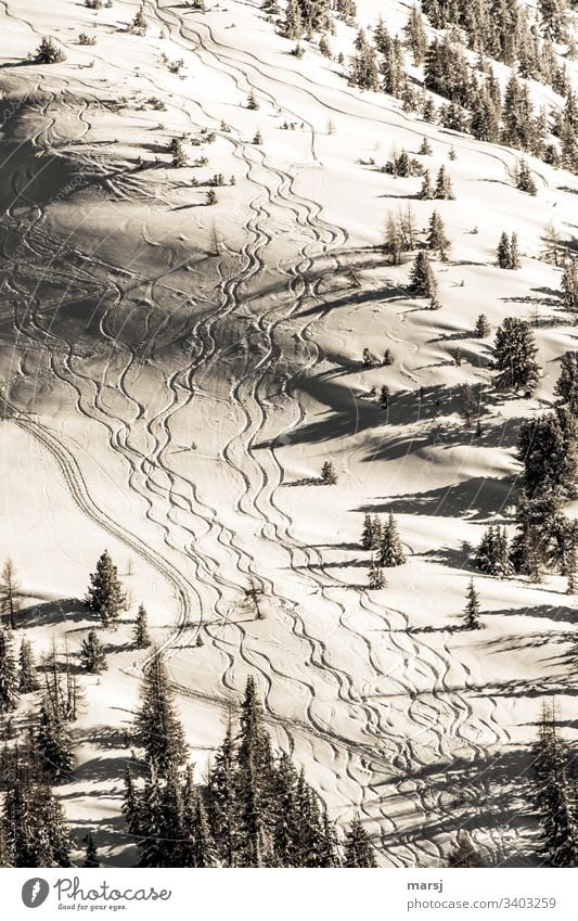 Wavy ski tracks in fresh snow through freshly snowed-in landscape. Winter Skiing Tracks crimped snow skiing Winter magic Gorgeous Winter sports Alps