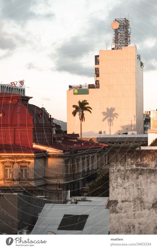 San Jose Center San Jose church Opera Palm tree Downtown roofs Shadow High-rise Brown wine-red Gray Green White Narrow Costa Rica