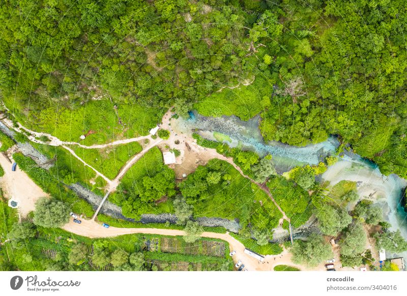 The blue eye Albania Beautiful weather Lakeside Blue Environment Nature Exterior shot Landscape Water Forest Balkans Tourist Attraction black eye Source