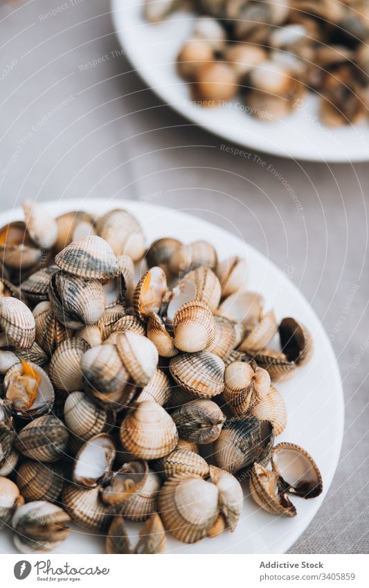 Plates with edibles seashells on table banquet seafood plate composition organic natural nutrition healthy cuisine wedding ingredient delicious tasty