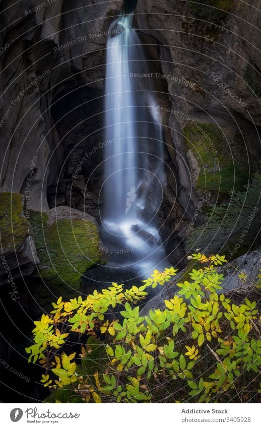 Beautiful waterfall in rocky ravine stone nature stream wild scenic mountain landscape picturesque travel splash forest scenery green environment flow tourism