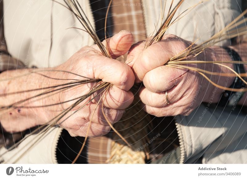 Crop elderly craftsman creating wicker natural material braid organic rustic bunch artisan senior rural detail dry industry design occupation professional