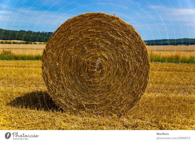 straw bale Bale of straw Round Agriculture out Stubble field Harvest Summer Sky Clouds nobody Copy Space