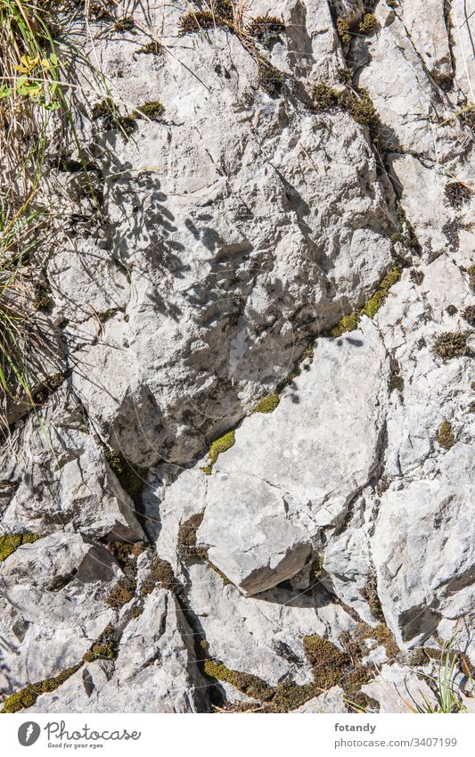 Rocks in hard lateral sunlight vertically structure Dirty cracks Structure background Rock background rough texture Wallpaper Wall (building) Gray Skirt Stone