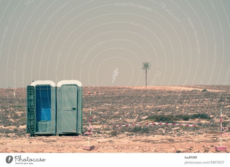 mobile toilet in desert with flutterband and palm tree Rental toilet toilet house Toilet Meeting 00 Latrine Trashy absurt Urinal Desert Hot Esthetic Warmth