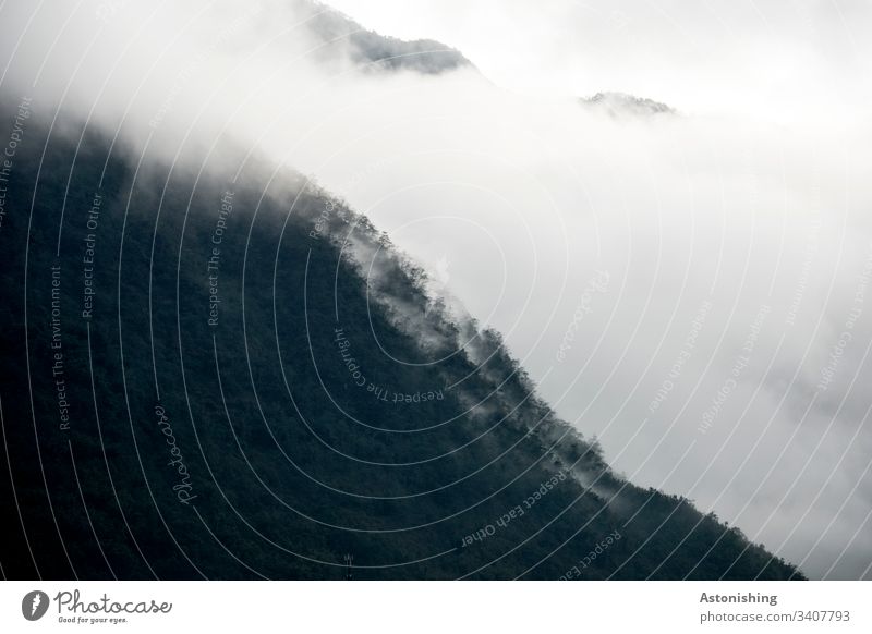 Fog in the Vietnamese mountains sa pa sapa Hill Forest Asia Mountain Nature Landscape Exterior shot Vacation & Travel Hiking Clouds White Weather Rain tight