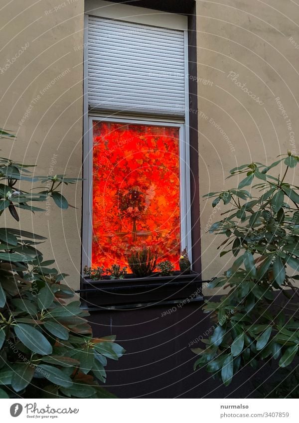 Red window Decoration decoration Window Facade Window box Backyard trash Witch colour flex mystery roller shutter Glass individuality Creativity Life dwell