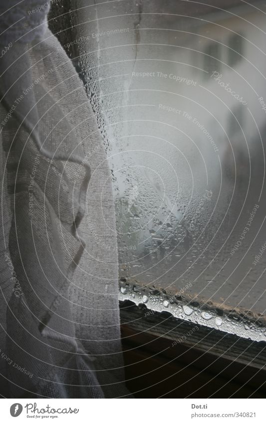 grubby Flat (apartment) Village Window Wet Gloomy Gray Moody Curtain Drape Condensation Farm View from a window Bavaria Pane Dreary Drops of water Colour photo