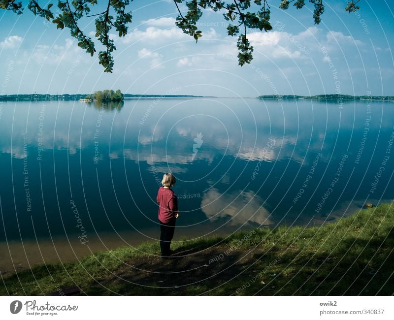 In thought Far-off places Feminine Woman Adults 1 Human being Environment Nature Landscape Plant Water Sky Clouds Horizon Climate Weather Beautiful weather