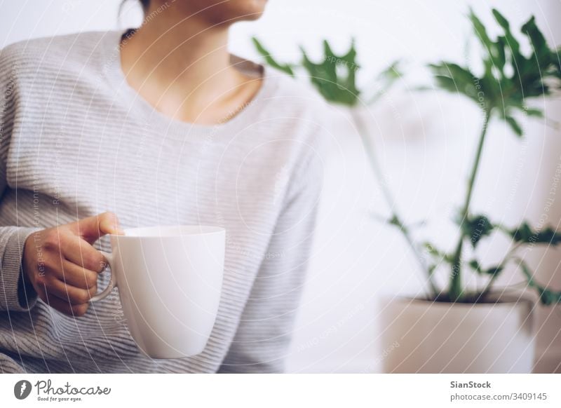 Hand holding coffee cup mug hands hot tea woman drink warm girl winter lifestyle plant soft light monstera leaf leaves plants green foliage houseplant pot