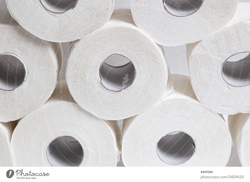 toilet rolls Toilet paper Paper role Roll White Round Clean Hoarding corona Personal hygiene toilet paper